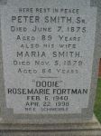 1875 d. Smith Monument Plate