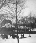 January 5, 1918  a sled in front of the Fortmann Home at 4099 Robie Street (today: 6710 Seeley) 